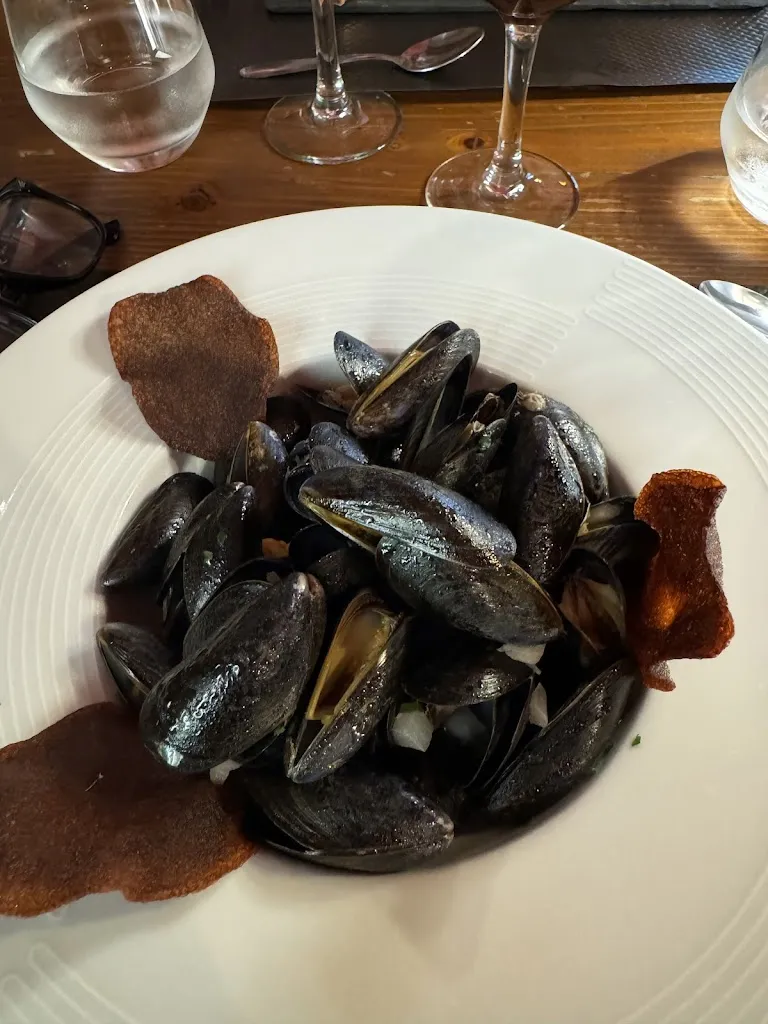 Rachel Kazmier_L'Observatoire_Houches_recensione