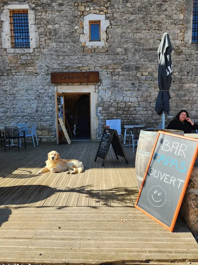 Patrice Duclaud_Ça bar en live_Cavalerie_review