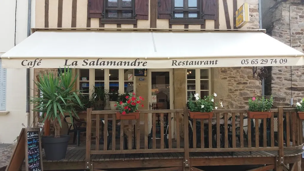 Restaurant La Salamandre restaurant in Najac