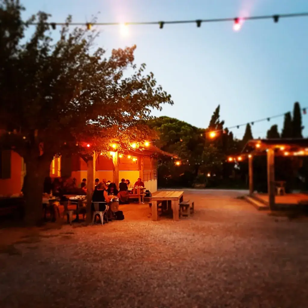 Magdalena Krzyzanowska_Salin de La Palme_Palme_review