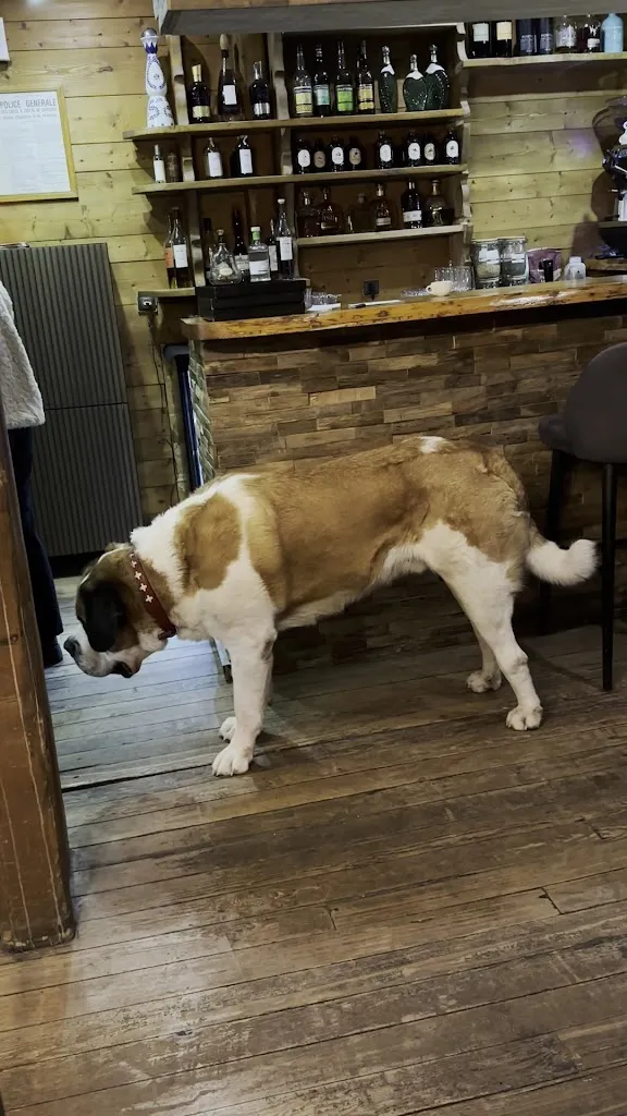 Dominic Sebastian_Auberge Les Gorges de la Diosaz_Servoz_review