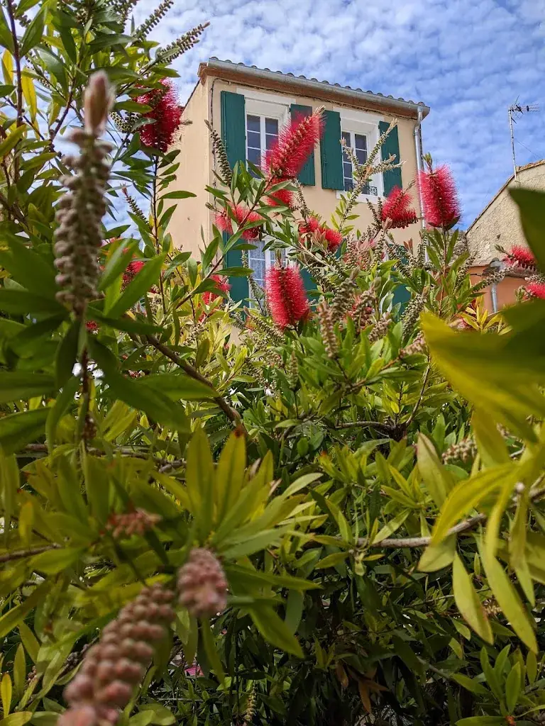 Muriel MLA_Le 35 Bis_Leucate_review