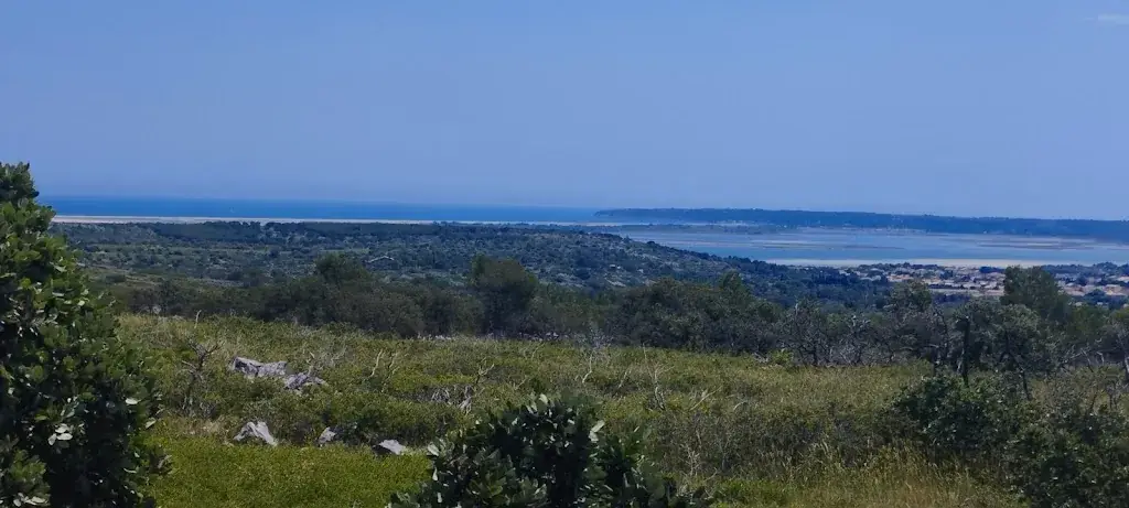 Lapalme Pizza_Palme_slider_image_2