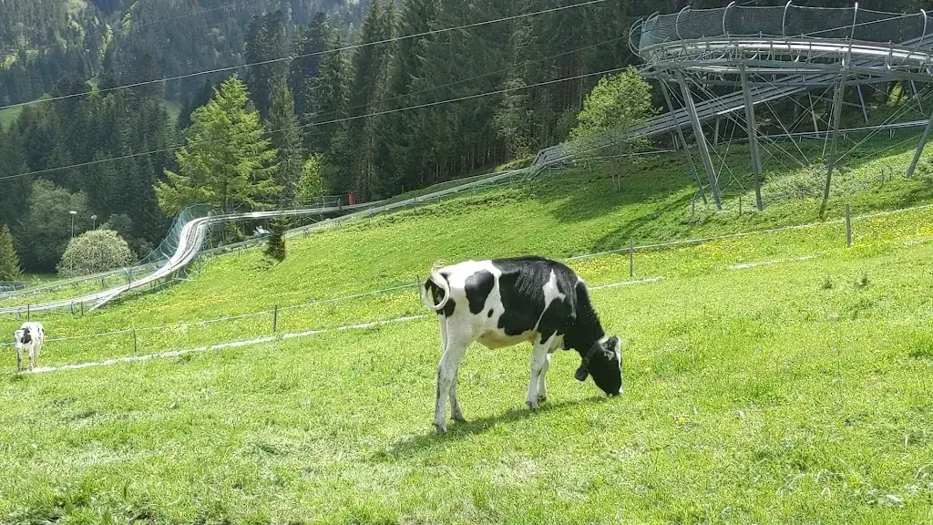 Fromagerie d'alpage de Moléson_Moléson_slider_image_2