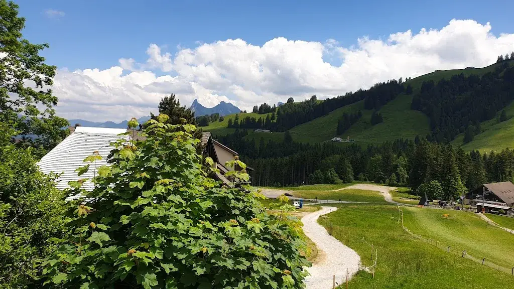 Fromagerie d'alpage de Moléson_Moléson_slider_image_3