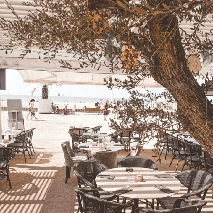 Restaurant Le Sud - La Grande Motte restaurant in Grande-Motte