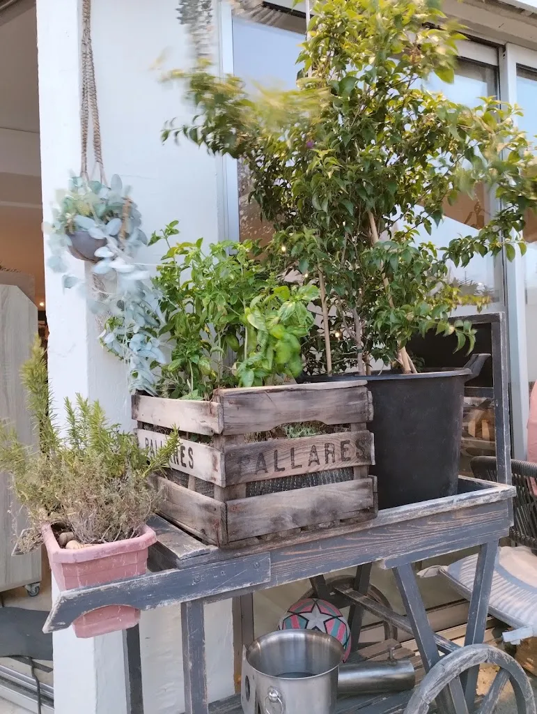 Henrik Gemal_Le Dekale_Grande-Motte_Bewertung