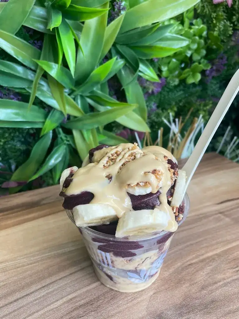 Taieb Saket_Tropicool La Grande-Motte_Grande-Motte_review