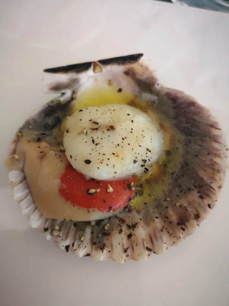 Salut GaGa_Saveurs Marines, restaurant de coquillages et de crustacés à La Grande-Motte_Grande-Motte_review