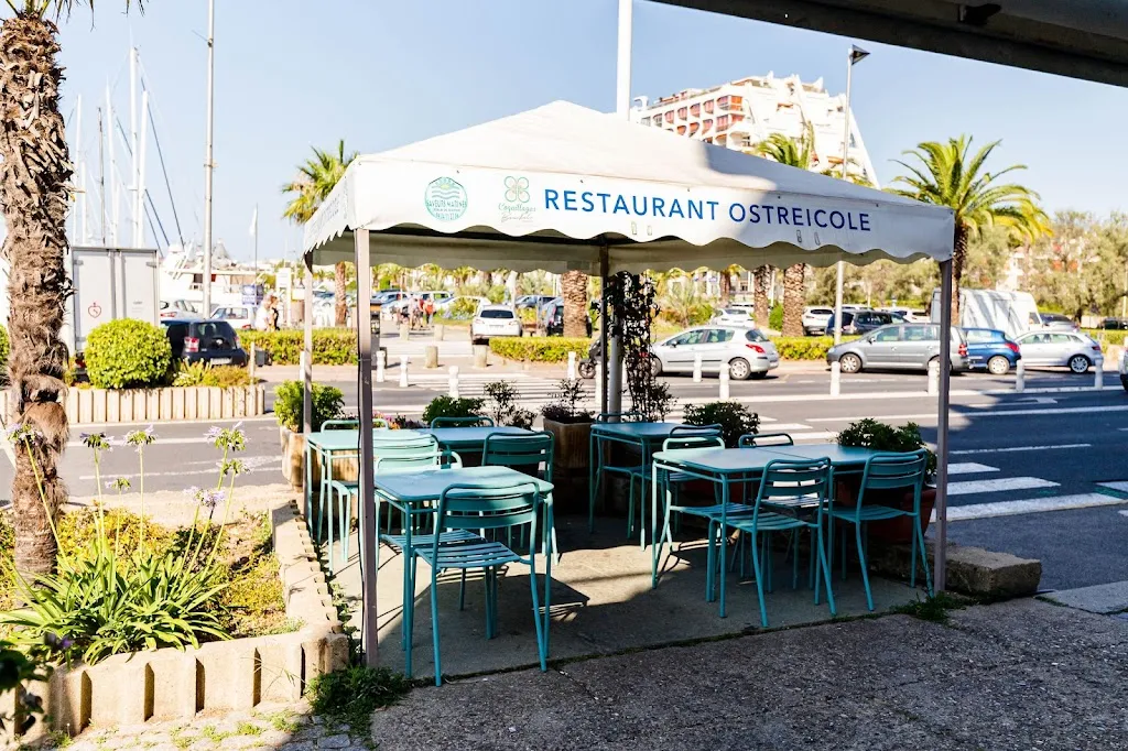 Saveurs Marines, restaurant de coquillages et de crustacés à La Grande-Motte restaurant in Grande-Motte