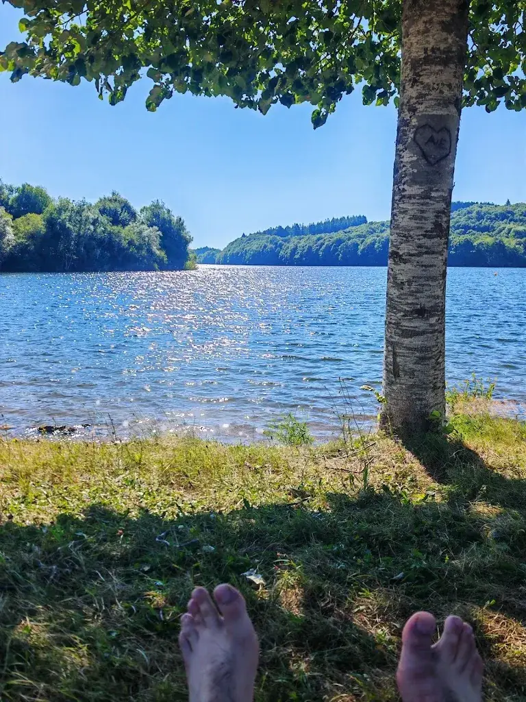 B_Les Tables Aux Vaches_Salvetat-sur-Agout_review