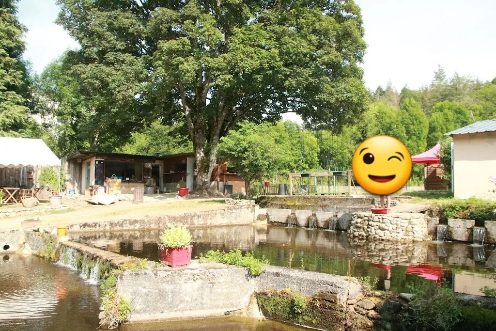 Pisciculture les Uguettes_Salvetat-sur-Agout_slider_image_3