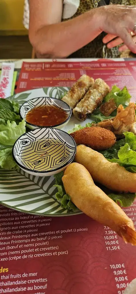 Menu_Le Vietnam_Labastide-Saint-Pierre_image_5