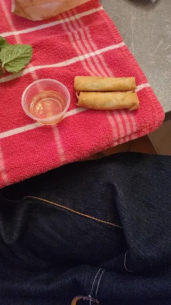 Menu_Le Vietnam_Labastide-Saint-Pierre_image_6