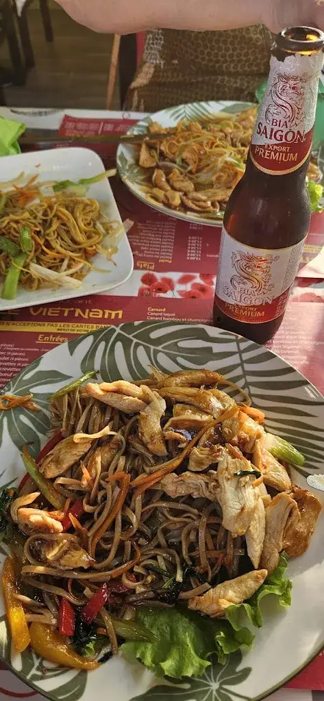 Menu_Le Vietnam_Labastide-Saint-Pierre_image_9