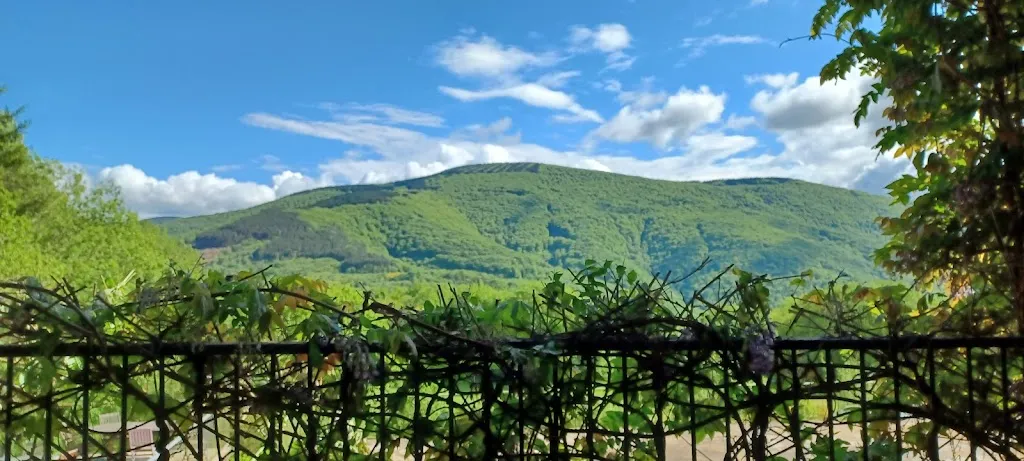 Prindrilhe Gastou_La Bouriotte_Labastide-Rouairoux_review