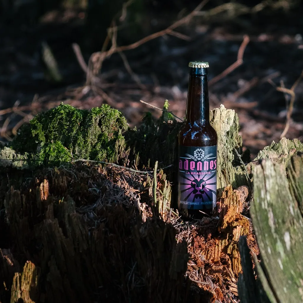 Menu_Brasserie Adennes_Saint-Julien-en-Genevois_image_5