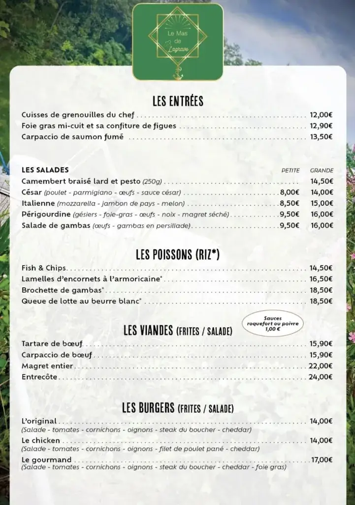 Menu_Le Mas de Lagrave_Lagrave_image_1