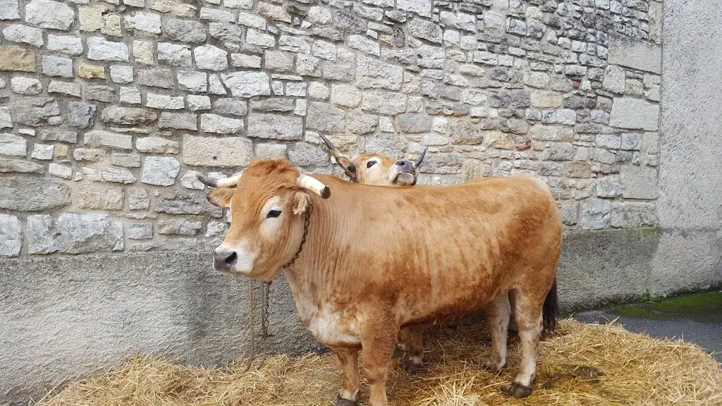 La Côte Occitane_l'Église_slider_image_2