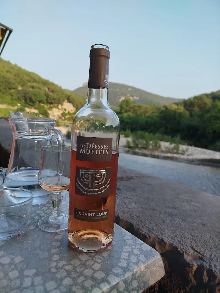 Manu_Ô Saigonnais_Laroque_review