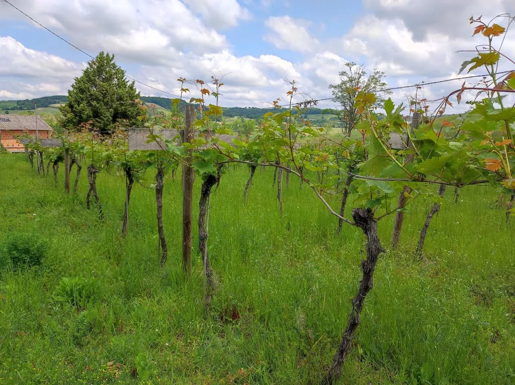 Gîte la Ferme de parry chez Jean Yves et Marie_Lauzerte_slider_image_2