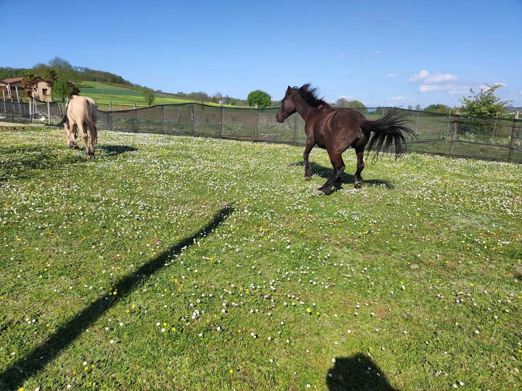 Gîte la Ferme de parry chez Jean Yves et Marie_Lauzerte_slider_image_3