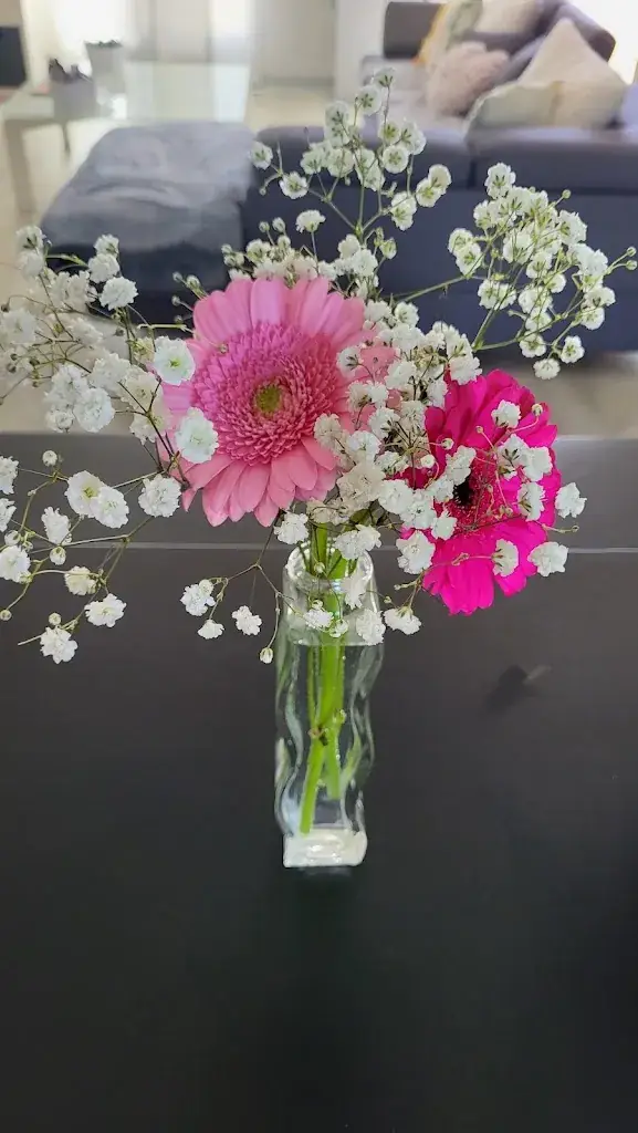 Deo Berges_DimDim Bar_Lavernose-Lacasse_review