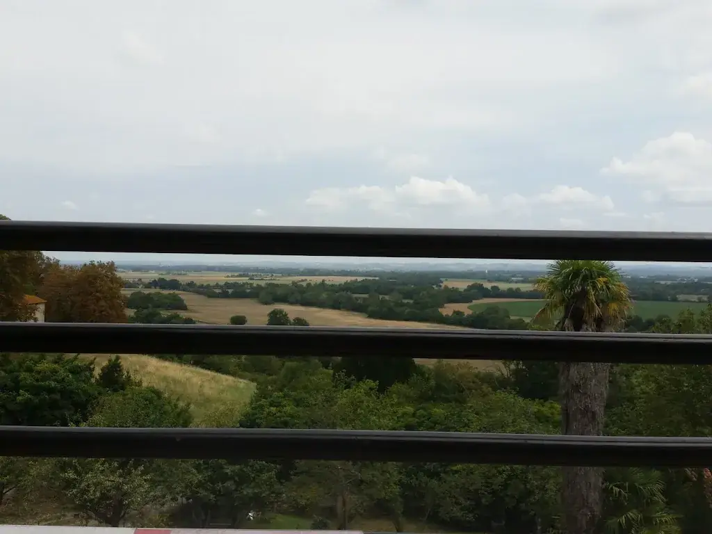 Le Dumbo_Fousseret_slider_image_2