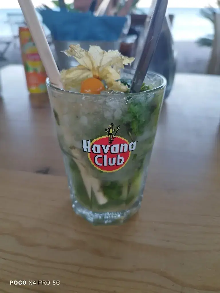 Menu_Le jungle_Barcarès_immagine_5