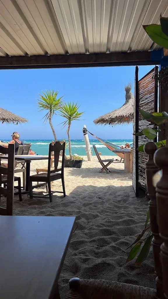 Samuel Hailu-Cross_Le jungle_Barcarès_recensione