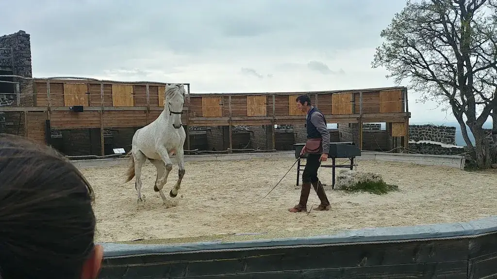 Praveen Lawrence_Volerie du Forez_Marcilly-le-Châtel_recensione
