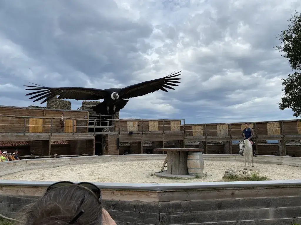 Corentin Celle_Volerie du Forez_Marcilly-le-Châtel_recensione