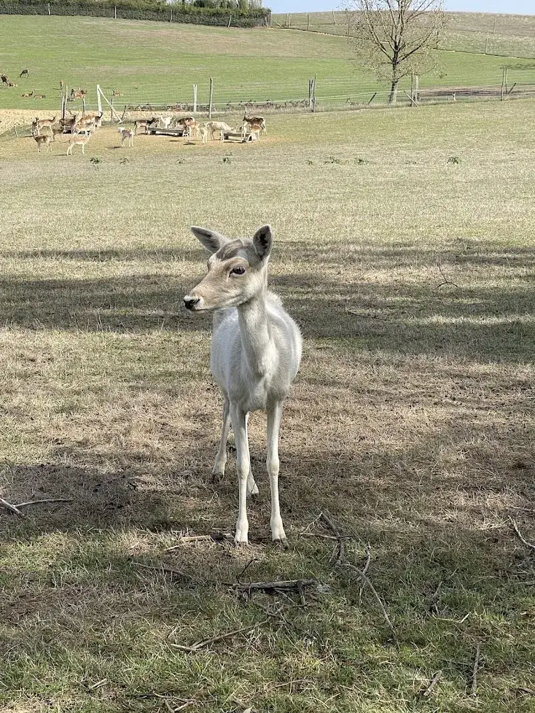 James O Neill_La Ferme aux Cerfs_Houga_review
