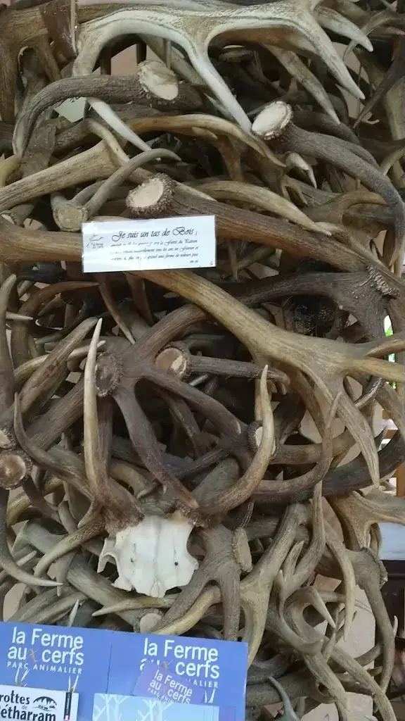 La Ferme aux Cerfs_Houga_slider_image_2