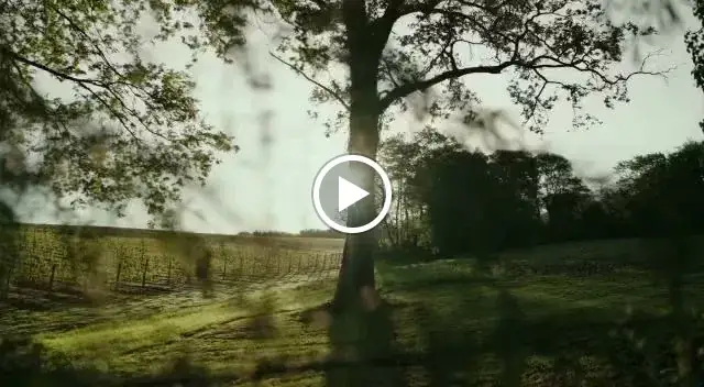 L'éTable_Hontanx_slider_image_2