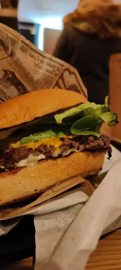 Robin Cge_Cévennes center_Vigan_recensione