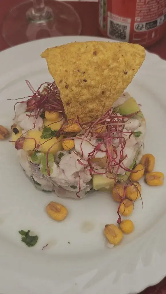 Larissa Castro_Le Carrousel/Assoc Beija-Flor_Collonges-sous-Salève_review