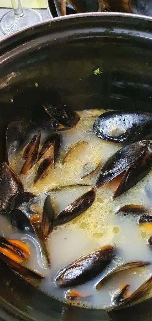 Sharon A_La Salamandre_Grau-du-Roi_avis