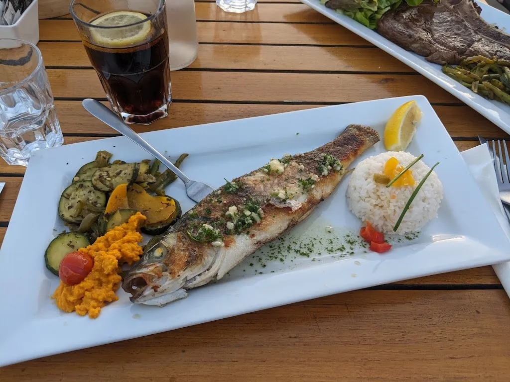 Zeyad_Bamboo Beach_Grau-du-Roi_review