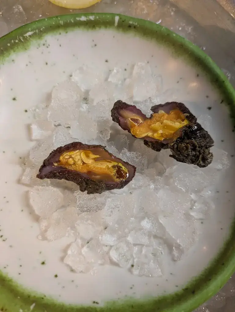 sam peterson_Chez Cul d'Oursin_Leucate_review