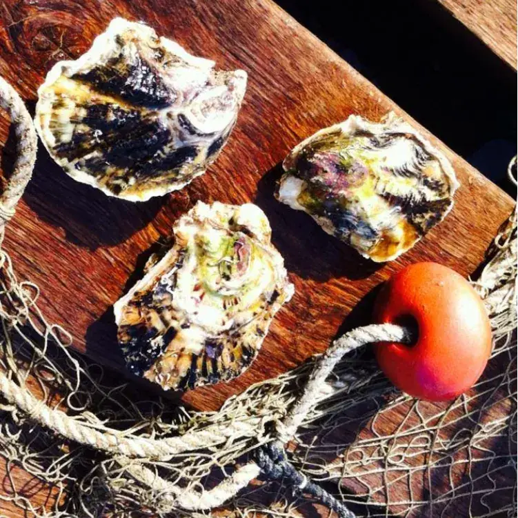 Chez Cul d'Oursin_Leucate_slider_image_3