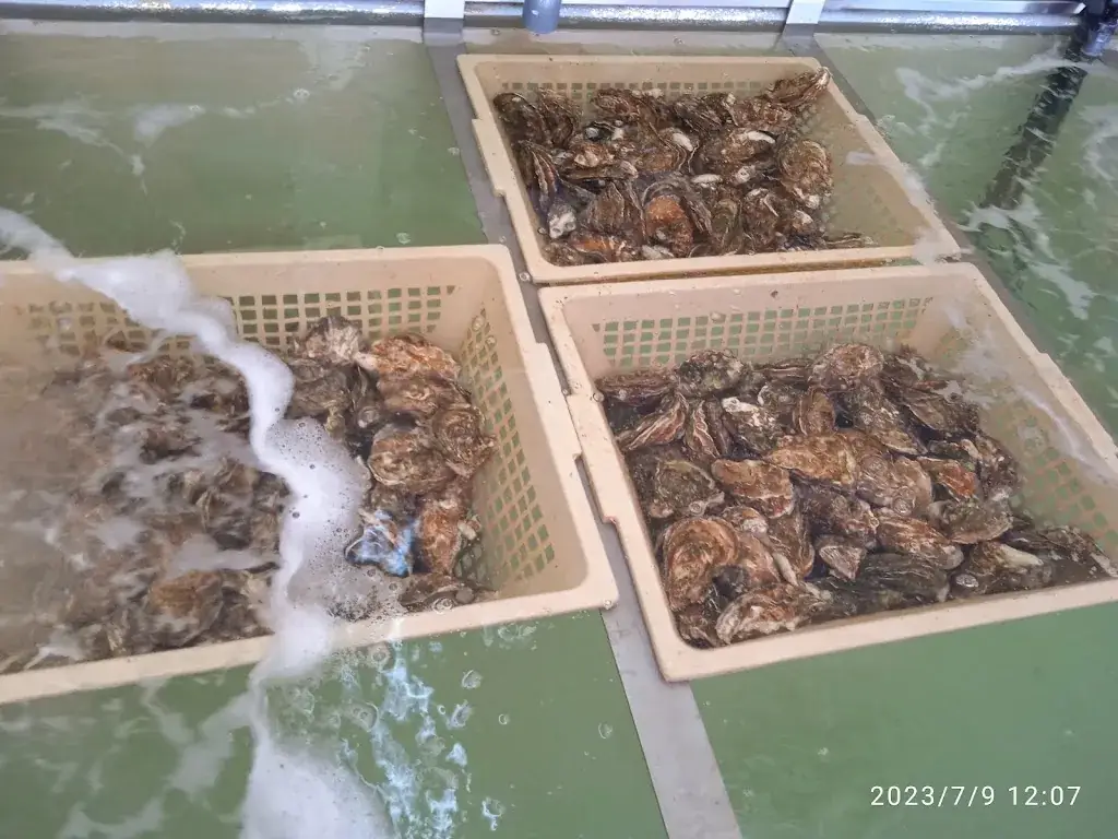 Menü_Le Petit Bigorneau_Leucate_Bild_8