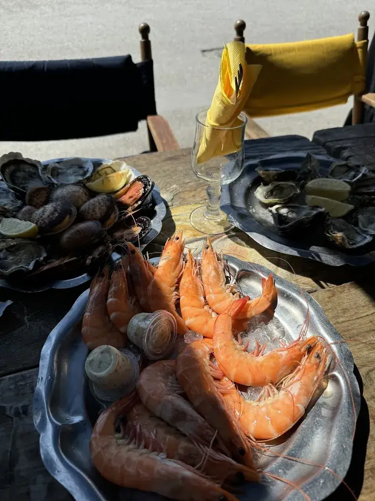 Tymur Dolgii_Le Petit Bigorneau_Leucate_Bewertung