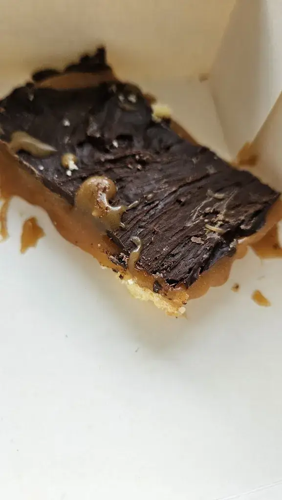 Mathilde VanReg_DELI'MEET_Lévignac_review