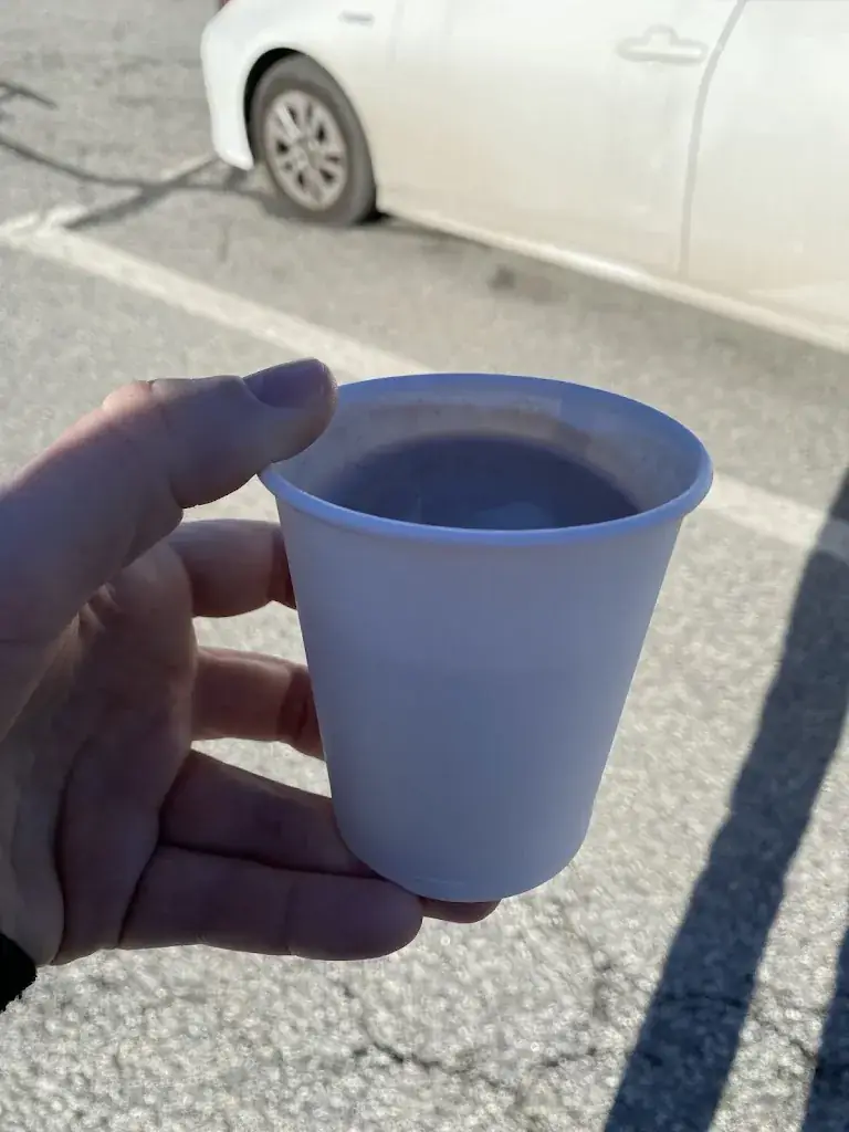 Anthony Borgniet_LA LOUVE_Angles_recensione