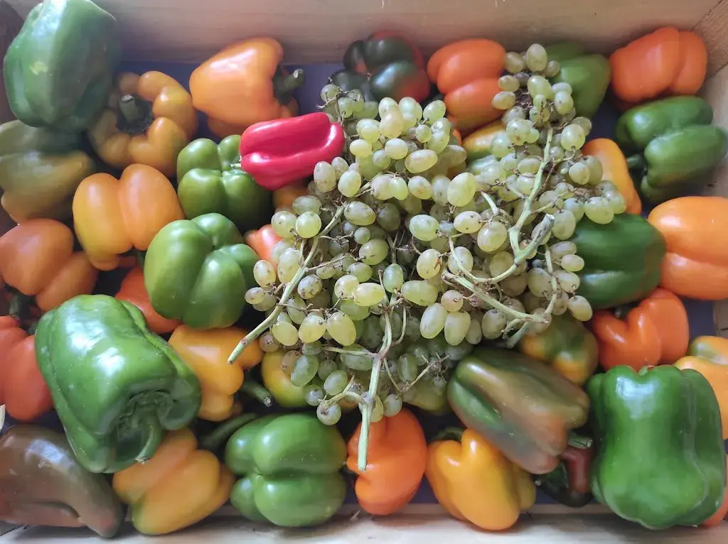 Menu_Guinguette Selva_Lodève_image_7