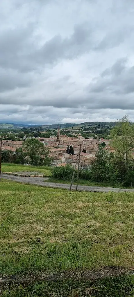 Limoux 11300 restaurant in Limoux