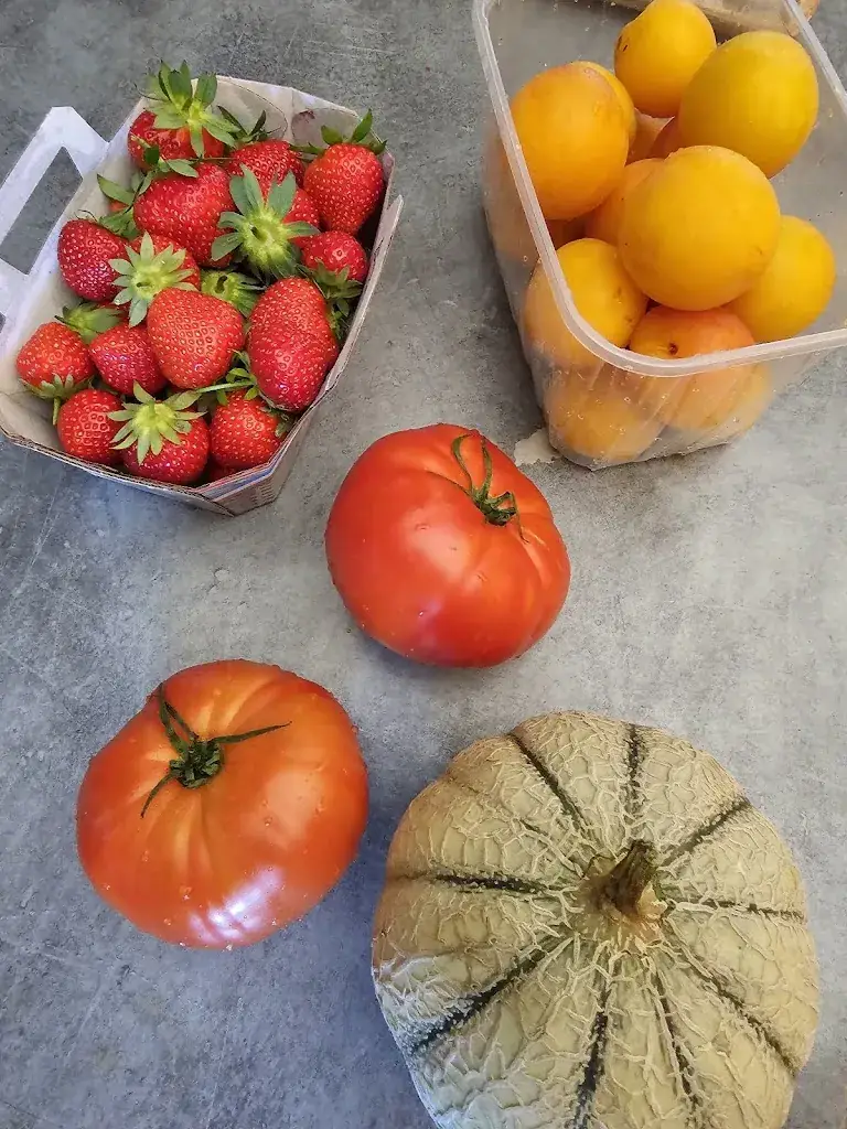 Menu_Stand de St Gervasy_Marguerittes_image_5