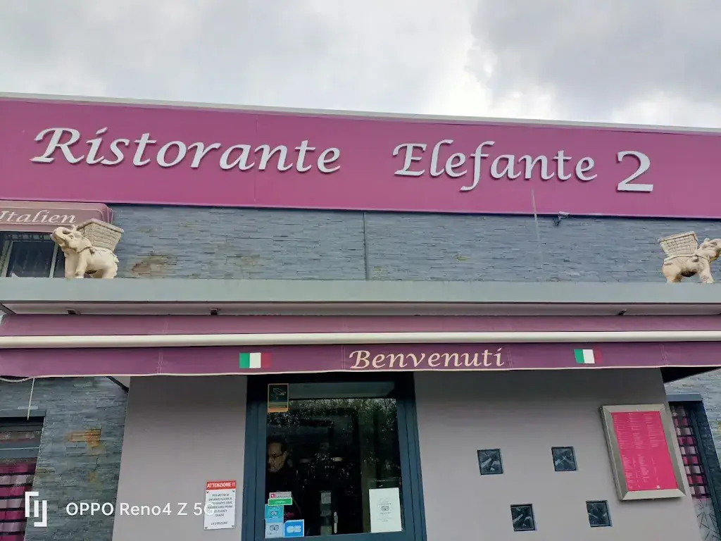 Patrizia Maniscalco_Restaurant Eléphant 2_Marguerittes_review