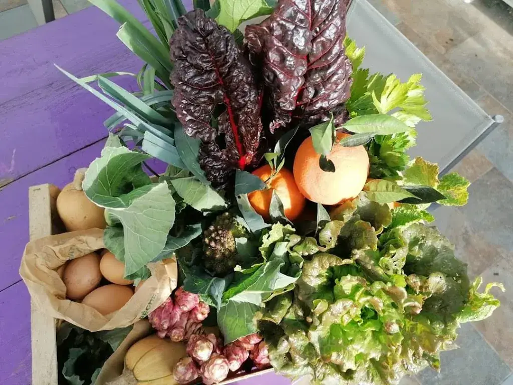 Menu_Le Potager du Vidourle_Marsillargues_image_6